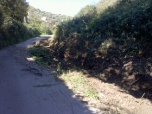 CAM00608